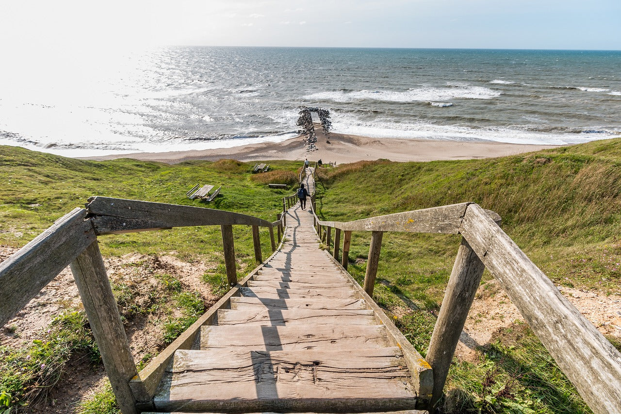 Kystvandring og Strandliv