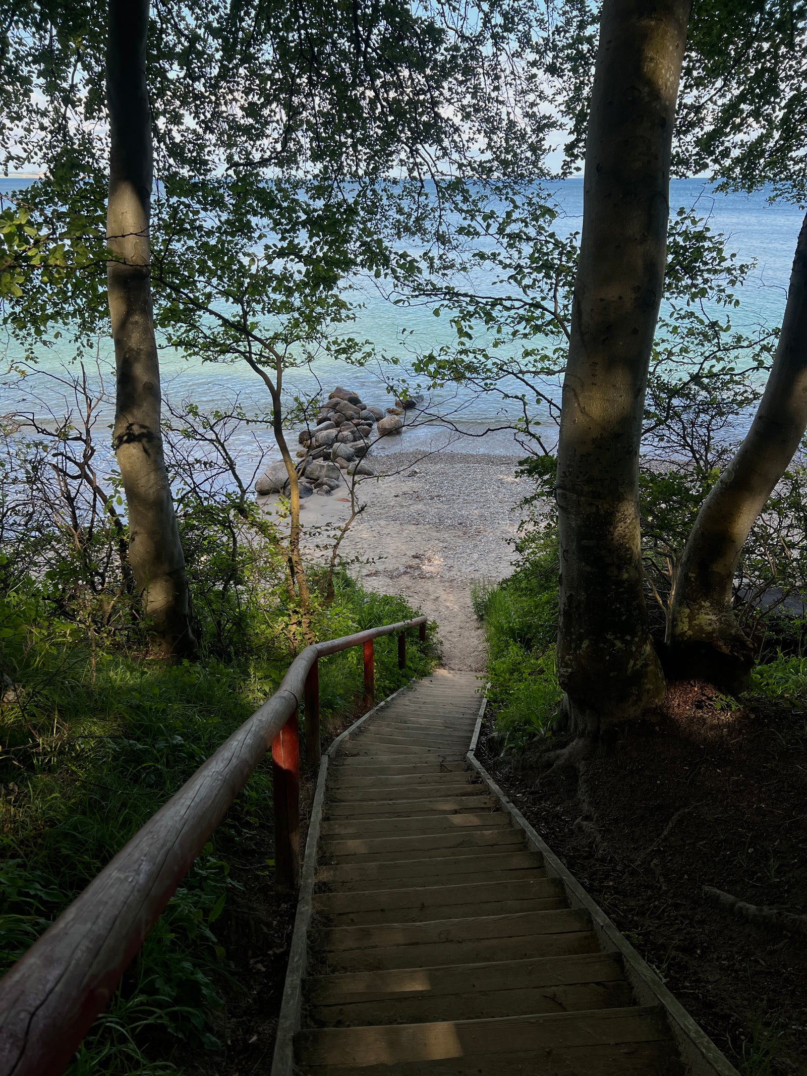 Forbindelse med naturen: Hvorfor udendørs oplevelser er vigtige for mental sundhed