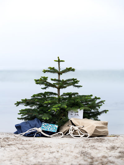 Gaveindpakning med kort